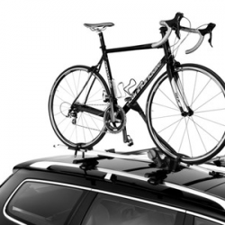 Thule Criterium 598