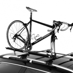 Thule Prologue 516